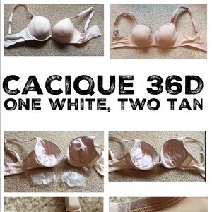 Lot of Cacique 36D bras (5 total)